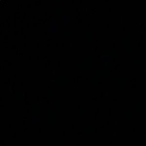 Meet your Posher, Lizzie